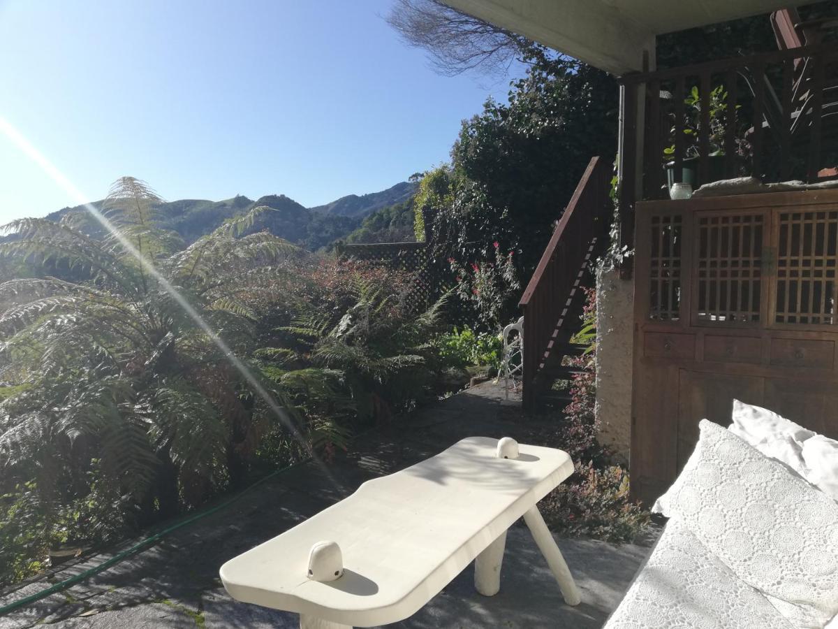 Joya Garden & Villa Studios Nelson Buitenkant foto