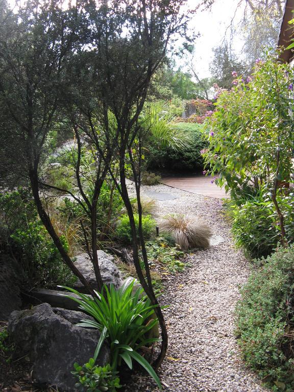 Joya Garden & Villa Studios Nelson Buitenkant foto