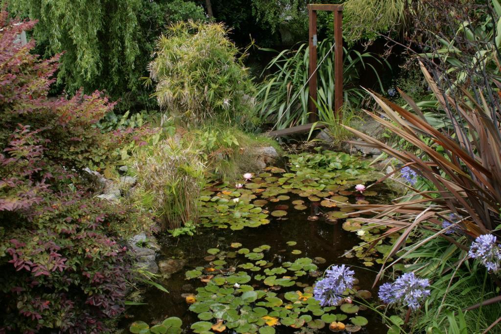 Joya Garden & Villa Studios Nelson Buitenkant foto