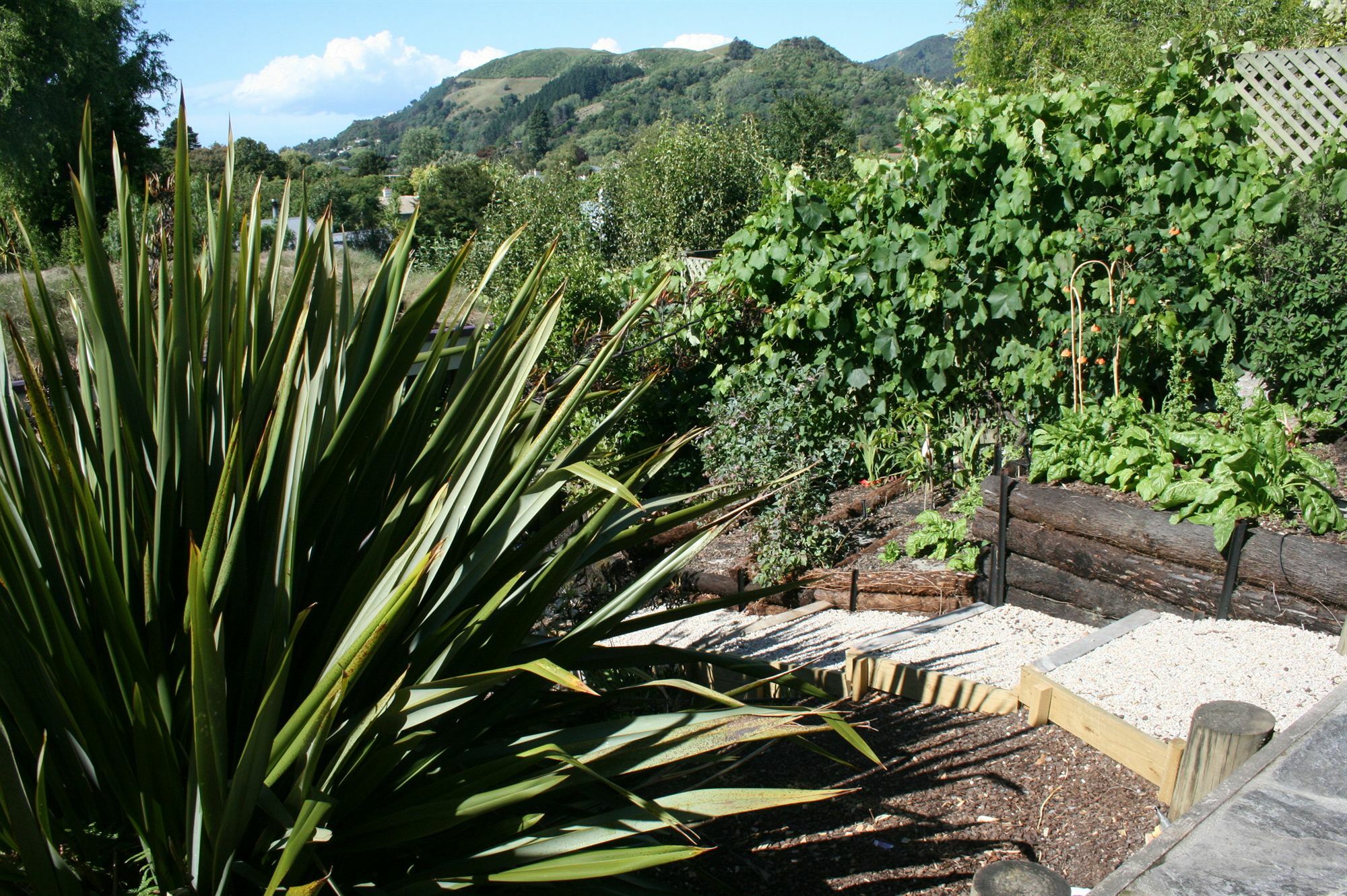 Joya Garden & Villa Studios Nelson Buitenkant foto